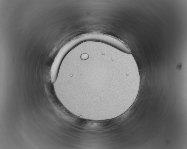 X0000115600174200912221154