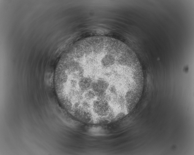 X0000115600177200912221154