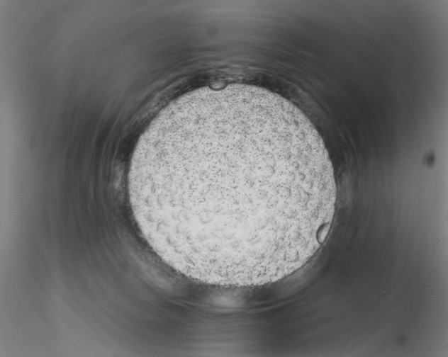 X0000115600178200912221154