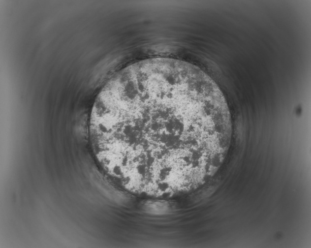 X0000115600181200912221154