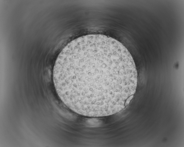 X0000115600183200912221154