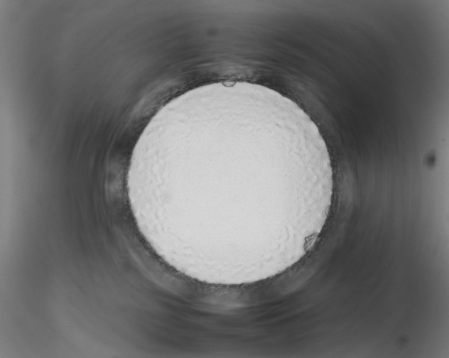 X0000115600185200912221154