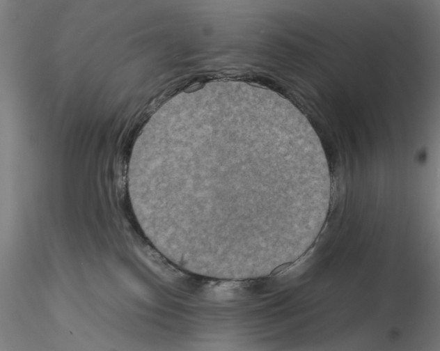 X0000115600186200912221154