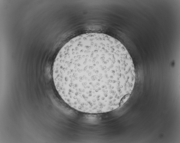 X0000115600187200912221154