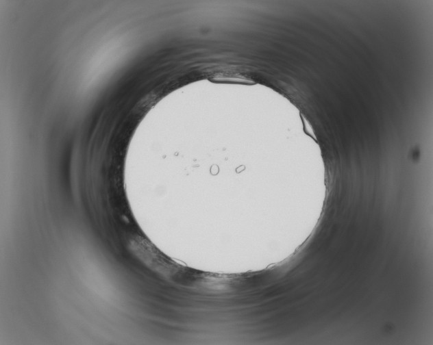 X0000115600190200912221154