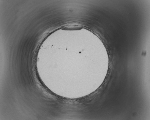 X0000115600193200912221153