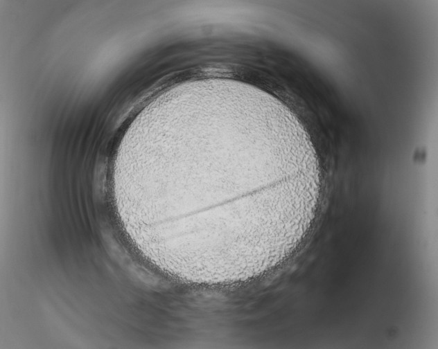 X0000115600194200912221153