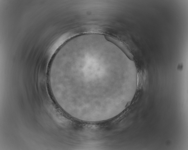 X0000115600195200912221153