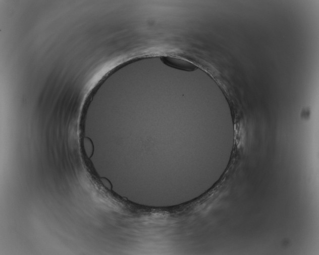 X0000115600196200912221153