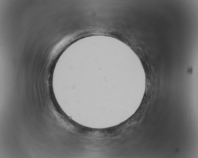 X0000115600197200912221153