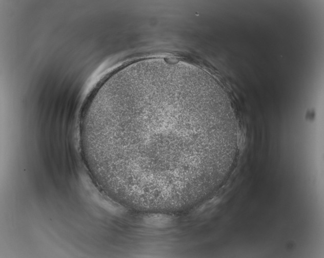 X0000115600198200912221153