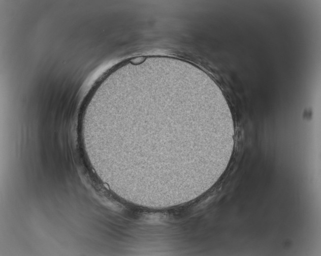 X0000115600200200912221153