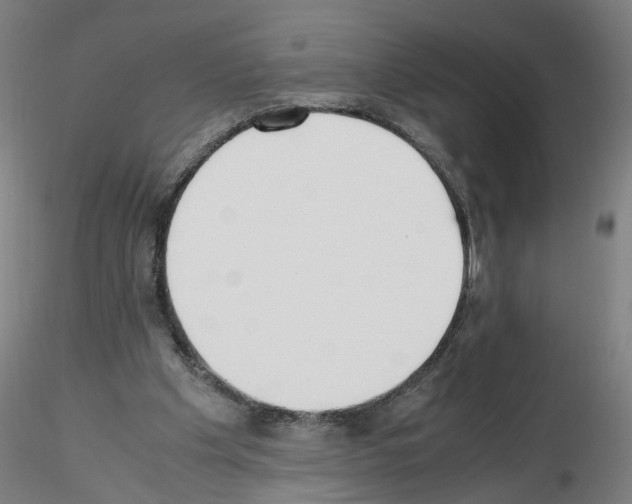 X0000115600201200912221153