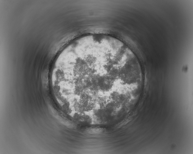 X0000115600202200912221153