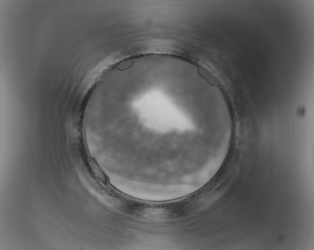 X0000115600203200912221153