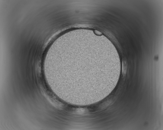 X0000115600204200912221153