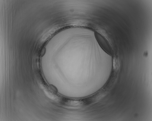 X0000115600205200912221153