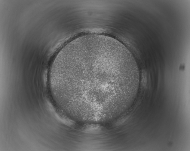 X0000115600206200912221153