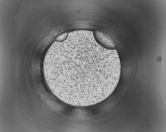 X0000115600207200912221153