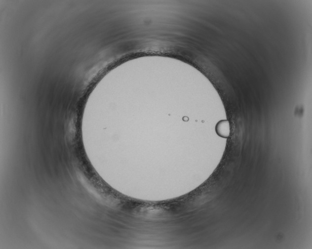 X0000115600208200912221153