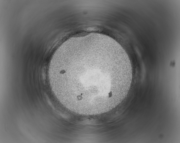 X0000115600210200912221153