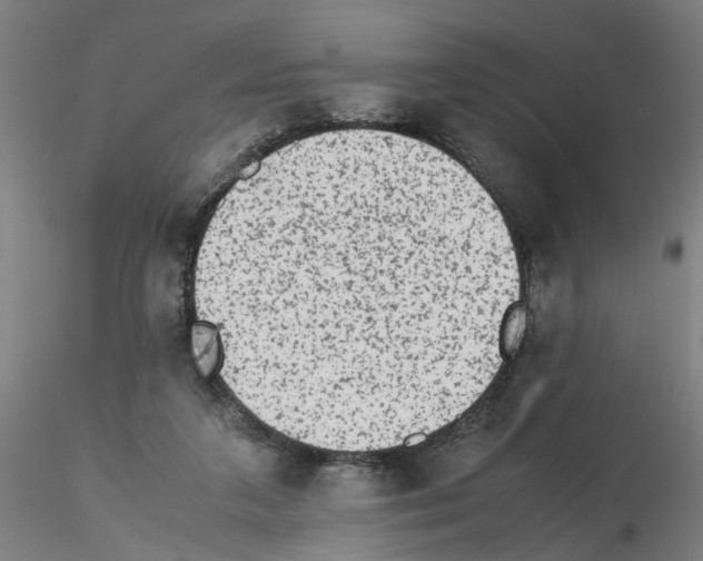 X0000115600211200912221153