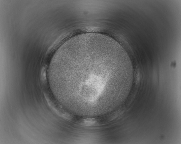 X0000115600214200912221153