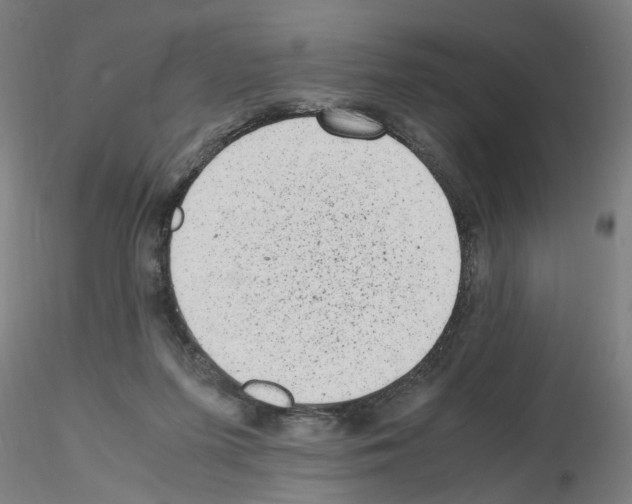 X0000115600215200912221153