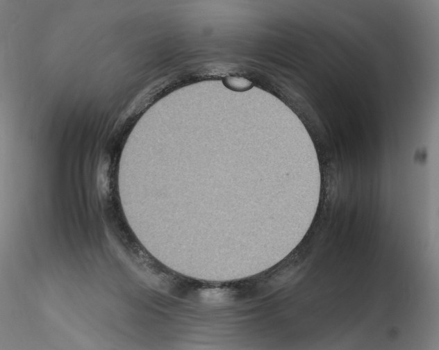 X0000115600216200912221153