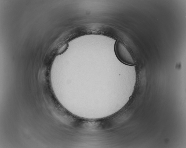 X0000115600217200912221153