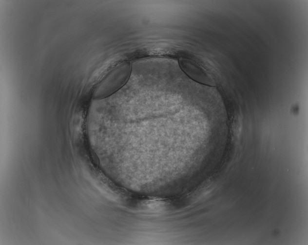 X0000115600219200912221153