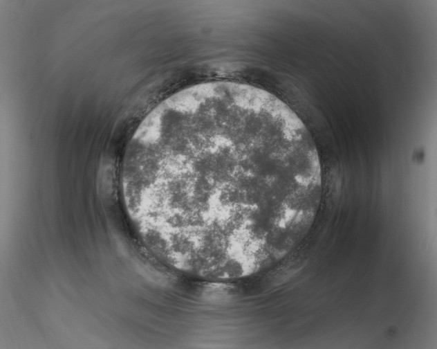 X0000115600222200912221153