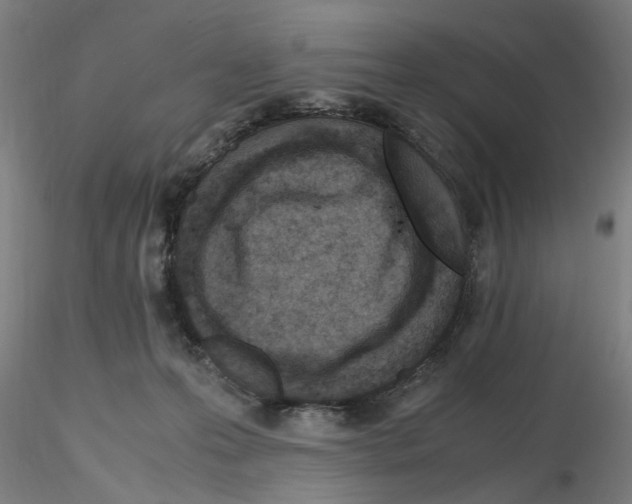 X0000115600223200912221153