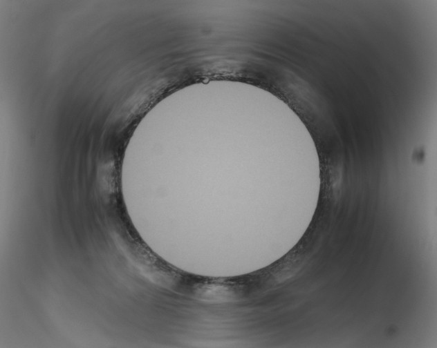 X0000115600224200912221153