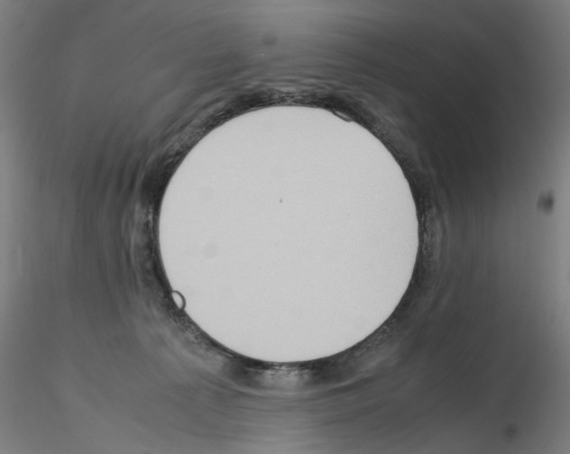 X0000115600225200912221153