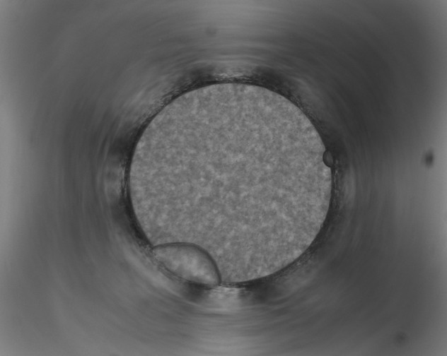 X0000115600227200912221153