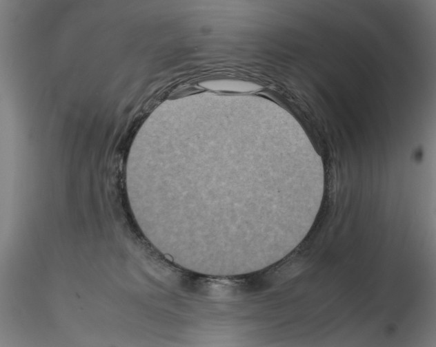 X0000115600229200912221153