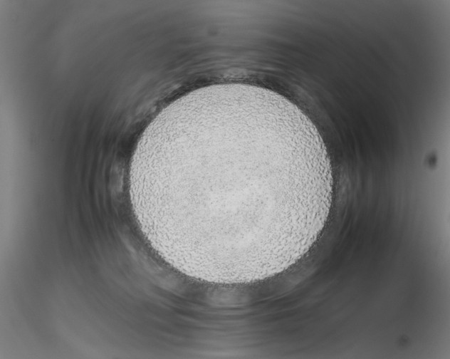 X0000115600230200912221153