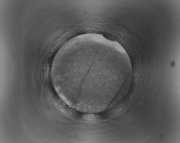 X0000115600231200912221153