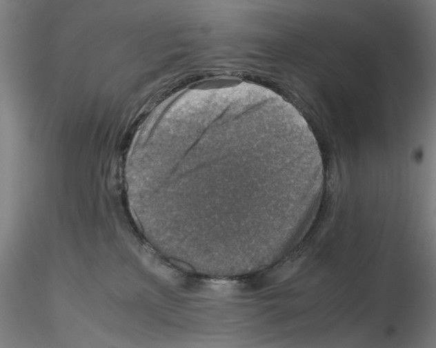 X0000115600233200912221153