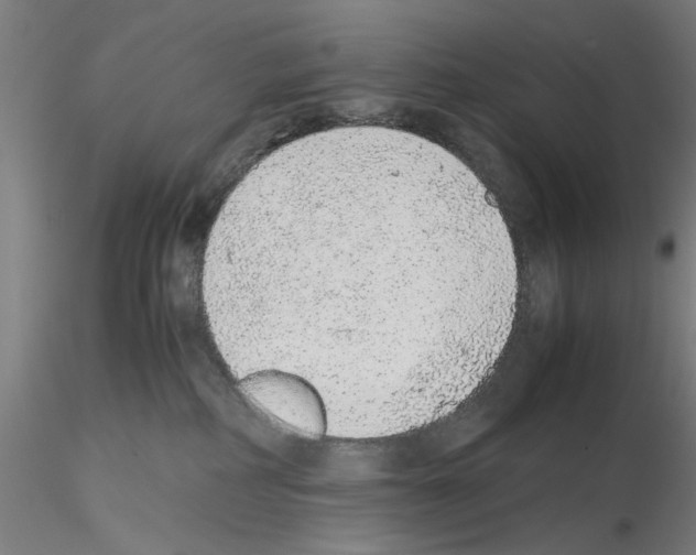 X0000115600234200912221153