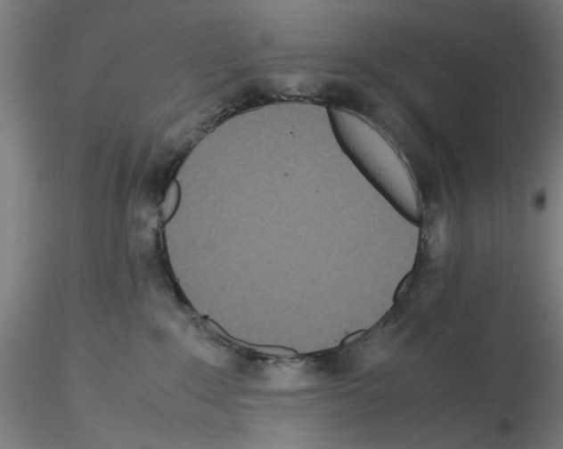 X0000115600235200912221153