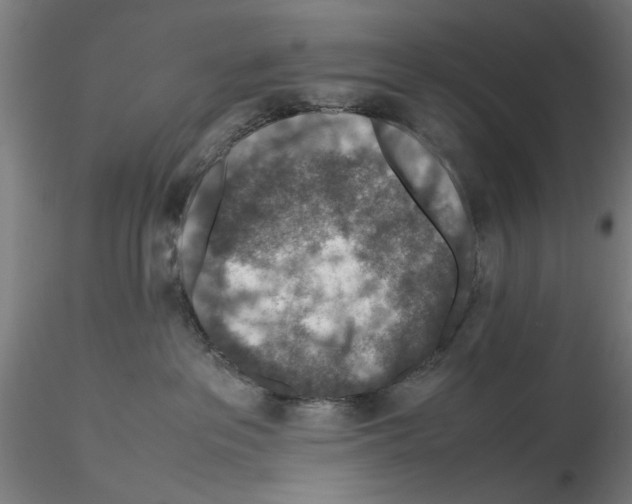 X0000115600237200912221153