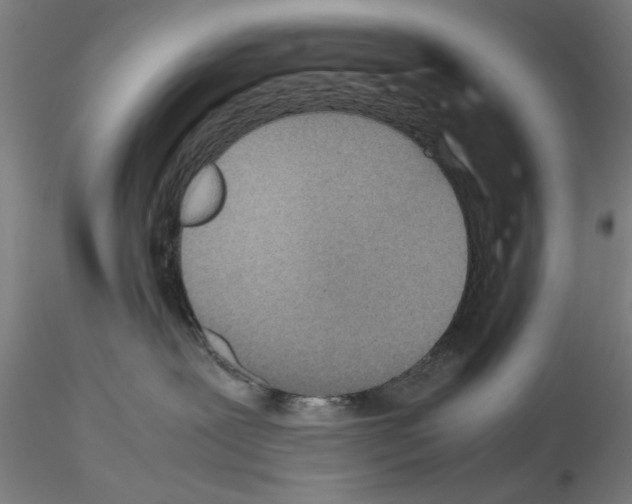 X0000115600239200912221153