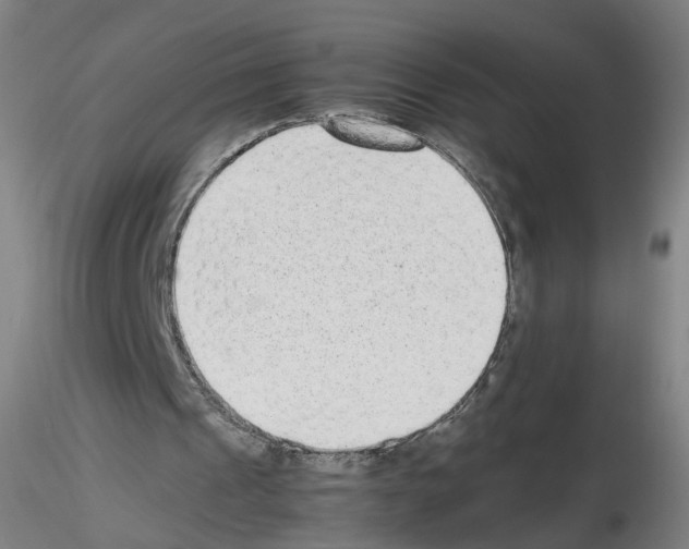 X0000115600241200912221152