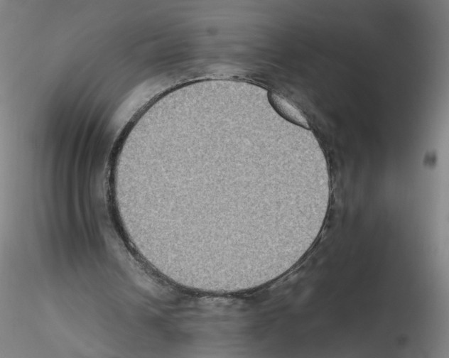 X0000115600242200912221152