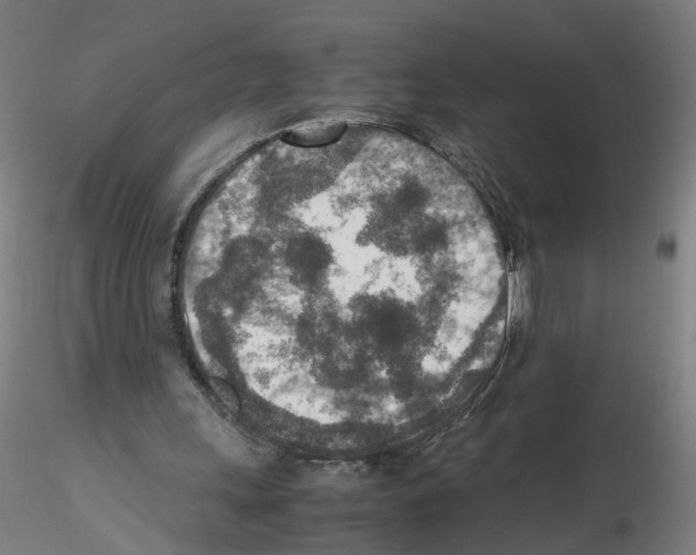 X0000115600243200912221152