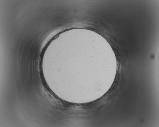 X0000115600244200912221152