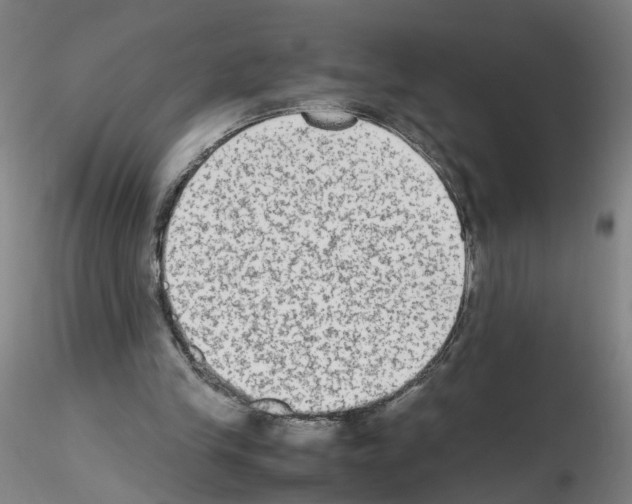 X0000115600245200912221152