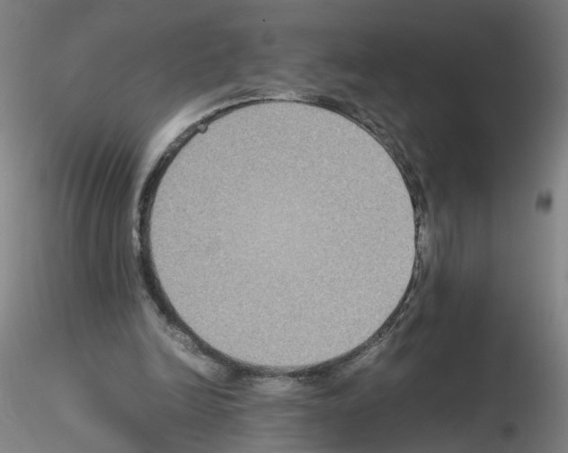 X0000115600246200912221152